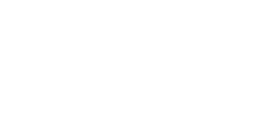 rfef-logo
