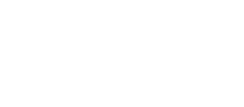 inserta